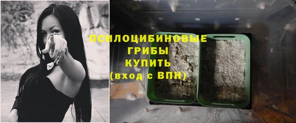 jwh Абаза