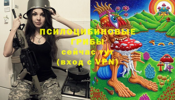 jwh Абаза