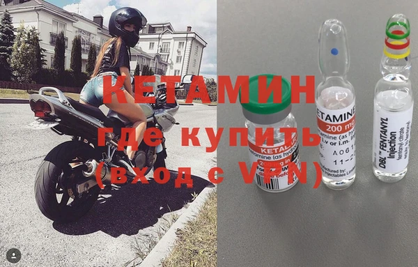 сатива Абинск