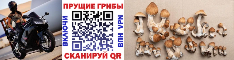 Псилоцибиновые грибы MAGIC MUSHROOMS  Новотитаровская 